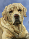 F&S Gift Store Hunting Dog Portrait in oils. Custom Dog portrait from photo. I will capture the character of your much loved dog in a quality oil painting.