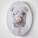 F&S Gift Store Personalized Pet Painting from Photo | Custom pet art, Home Decor, Pet lover gift, Interior art, Realistic oil painting
