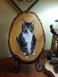 Personalized Oil Painting From Photos, handcraft art on Canvas-Show Case MPI101143-24