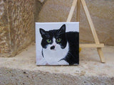 Personalized Oil Painting From Photos, handcraft art on Canvas-Show Case SEJ101988-24