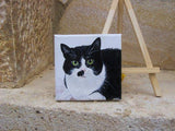 F&S Gift Store Mini desk decor, Custom portrait, Miniature painting, Cat art, Dog artwork, Office desk decor, Kids room decor, Unique gift, Mini painting