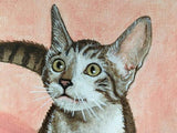 F&S Gift Store Pet Portrait "Tiger" Cat art, Custom Pet Painting sample, or this 8x8 Cat painting, Original oil, Memorial Pet painting, realism, cats/dogs