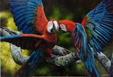 F&S Gift Store Red Macaws - Realistic Oil Painting on canvas Custom Made Portraits fom photo - Animals, Pets, Portraits,Landscapes