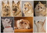 Personalized Oil Painting From Photos, handcraft art on Canvas-Show Case KGR102521-24