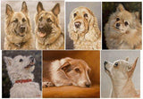 F&S Gift Store SPECIAL OFFER! Custom Pet Portrait Head & Shoulders Dog Oil Painting by award winning UK artist John Silver. 12 x 10 inches