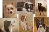 Personalized Oil Painting From Photos, handcraft art on Canvas-Show Case KGR102521-24