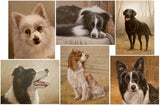 F&S Gift Store SPECIAL OFFER! Custom Pet Portrait Head & Shoulders Dog Oil Painting by award winning UK artist John Silver. 12 x 10 inches