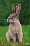 F&S Gift Store Custom pet portrait from a photo - oil on canvas, any size, pet loss memorial, pet keepsake