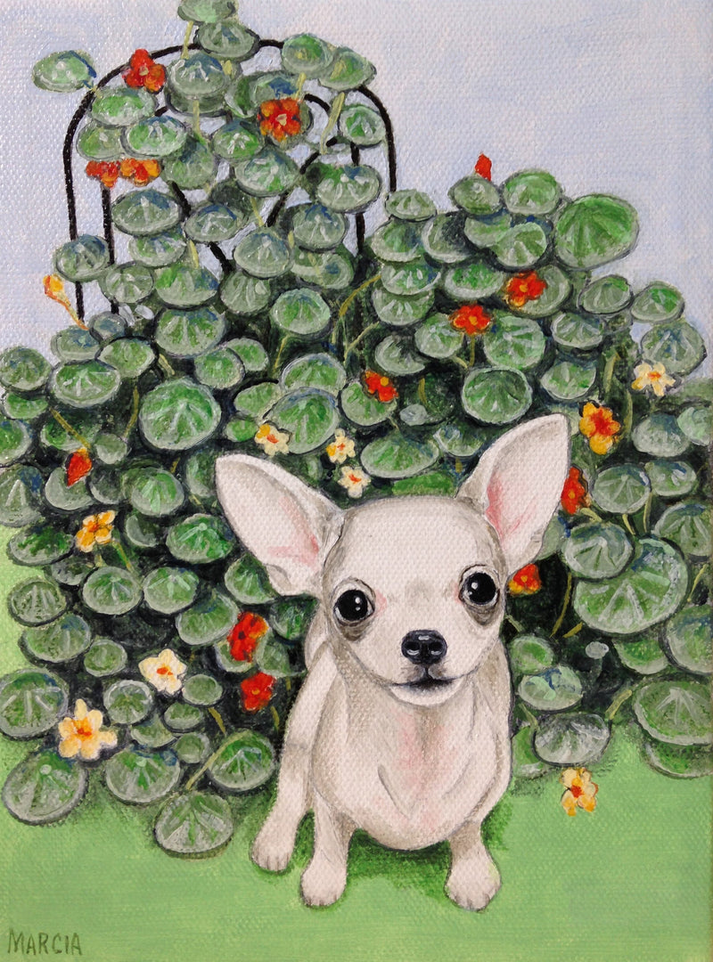 F&S Gift Store Pet Portrait Custom Painting "Flip" Original Oil painting 6x8 sample, dog art, pet memorial painting, pet painting, dog painting, realism,