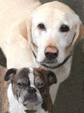 Personalized Oil Painting From Photos, handcraft art on Canvas-Show Case HJG101045-36