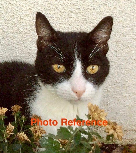 Personalized Oil Painting From Photos, handcraft art on Canvas-Show Case KCD101236-30