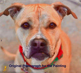 Personalized Oil Painting From Photos, handcraft art on Canvas-Show Case KCD101236-30