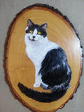 Personalized Oil Painting From Photos, handcraft art on Canvas-Show Case MPI101143-24