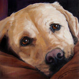 F&S Gift Store PetParade,custom pet portrait oil painting,dog portrait,cat portrait by puci,free shipping,8x8"