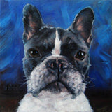 F&S Gift Store PetParade,custom pet portrait oil painting,dog portrait,cat portrait by puci,free shipping,8x8"