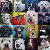 Personalized Oil Painting From Photos, handcraft art on Canvas-Show Case DJO102326-48
