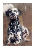 Personalized Oil Painting From Photos, handcraft art on Canvas-Show Case ERG100828-20