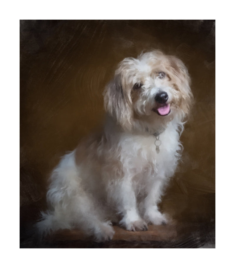 Personalized Oil Painting From Photos, handcraft art on Canvas-Show Case ERG100828-20