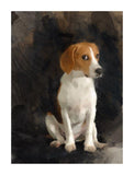 Personalized Oil Painting From Photos, handcraft art on Canvas-Show Case ERG100828-20