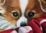 F&S Gift Store Custom Pet Portraits - 12x16 Oil painting on Masonite 50% deposit - Patterson