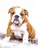 Personalized Oil Painting From Photos, handcraft art on Canvas-Show Case QON102112-24