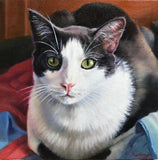 Personalized Oil Painting From Photos, handcraft art on Canvas-Show Case TAH100259-24