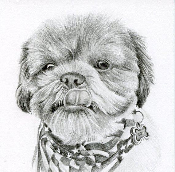 Personalized Oil Painting From Photos, handcraft art on Canvas-Show Case DIL101098-20