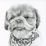 Personalized Oil Painting From Photos, handcraft art on Canvas-Show Case DIL101098-20