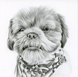 F&S Gift Store Custom Pet Portrait Dog Painting Gift Certificate, dog lover gifts, Dog Drawing, Graphite Drawing, Pet art