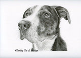 Personalized Oil Painting From Photos, handcraft art on Canvas-Show Case DIL101098-20