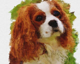 Personalized Oil Painting From Photos, handcraft art on Canvas-Show Case CNS101621-30