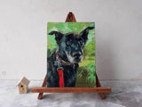 Personalized Oil Painting From Photos, handcraft art on Canvas-Show Case NAJ101144-48