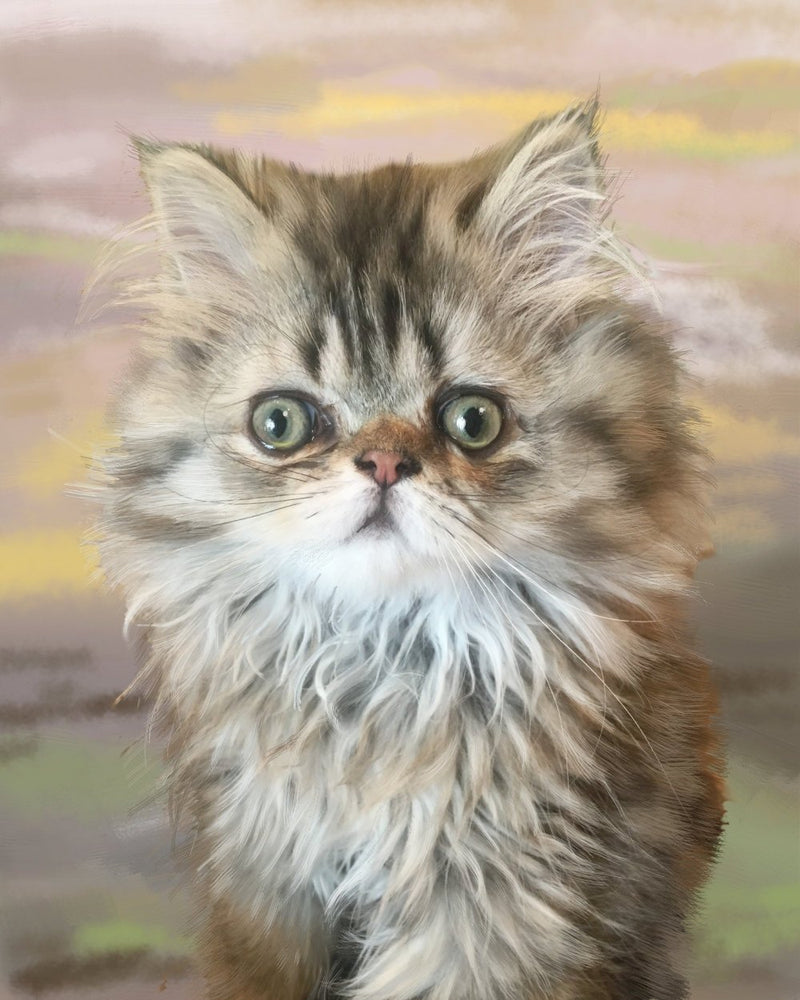 F&S Gift Store Custom cat portrait, realistic pet art, lifelike, hand painted, digital pet painting, on paper, from your photo, cat art, memorial portrait