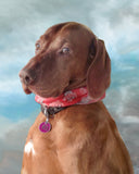 F&S Gift Store Vizsla Dog Portrait Painting, Custom Realistic hand painted digital oil, Black Lab art, lifelike, from your photo, pet loss memorial