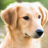Personalized Oil Painting From Photos, handcraft art on Canvas-Show Case OPE101107-48