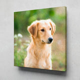 Personalized Oil Painting From Photos, handcraft art on Canvas-Show Case OPE101107-48