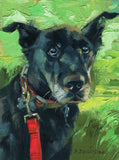 Personalized Oil Painting From Photos, handcraft art on Canvas-Show Case NAJ101144-48