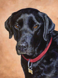 F&S Gift Store Hunting Dog Portrait in oils. Custom Dog portrait from photo. I will capture the character of your much loved dog in a quality oil painting.