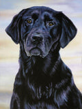 Personalized Oil Painting From Photos, handcraft art on Canvas-Show Case BGD101914-20