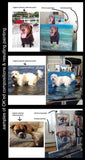 Personalized Oil Painting From Photos, handcraft art on Canvas-Show Case JIF102577-20