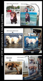 F&S Gift Store WaterLover,custom Pet Portrait oils,Dog Painting,Dog Portrait,original oil portrait painting, 10x12"