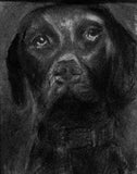 Personalized Oil Painting From Photos, handcraft art on Canvas-Show Case SFG101593-24