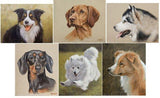 Personalized Oil Painting From Photos, handcraft art on Canvas-Show Case KGR102521-24