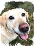 F&S Gift Store Pet portrait, custom, bespoke oil painting of your pet , realistic
