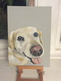 F&S Gift Store Pet portrait, custom, bespoke oil painting of your pet , realistic