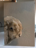 F&S Gift Store Pet portrait, custom, bespoke oil painting of your pet , realistic