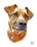F&S Gift Store Original custom pet portrait, Digital Pet Portraits, Сustom animal art, paintings of dogs, dog artwork, painting from photo.