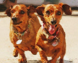 Personalized Oil Painting From Photos, handcraft art on Canvas-Show Case CNS101621-30