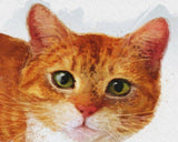 Personalized Oil Painting From Photos, handcraft art on Canvas-Show Case CNS101621-30