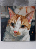 Personalized Oil Painting From Photos, handcraft art on Canvas-Show Case LJK100568-12